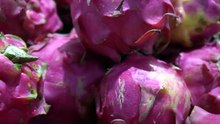 Photographing delicious looking dragon fruit. 藤野孝紘