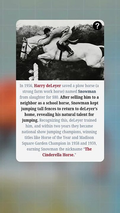 From Slaughterhouse to Stardom! 🐴✨