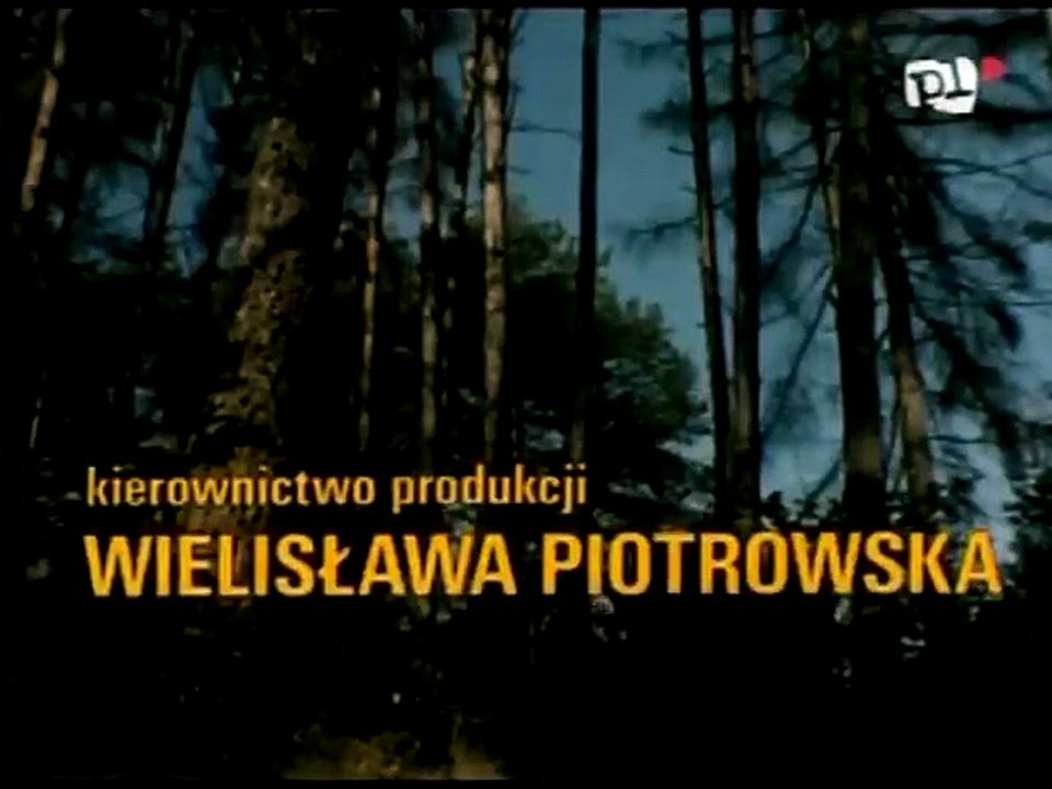 Okruchy wojny 1985 film polski