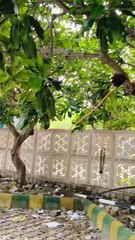 Demand accountability and safer spaces!  #GhaziabadPolice #CrimeAlert #ParkingCrimes #PoliceNegligence #PublicSafety #JusticeNeeded