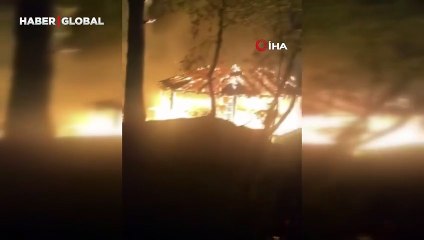 Bursa'da panik anları: Ormanı küle çevireceklerdi