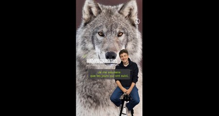 L'Œil de Géo : une louve du Canada par le photographe animalier Mathieu Courdesses