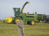 Ensilage 2008-6