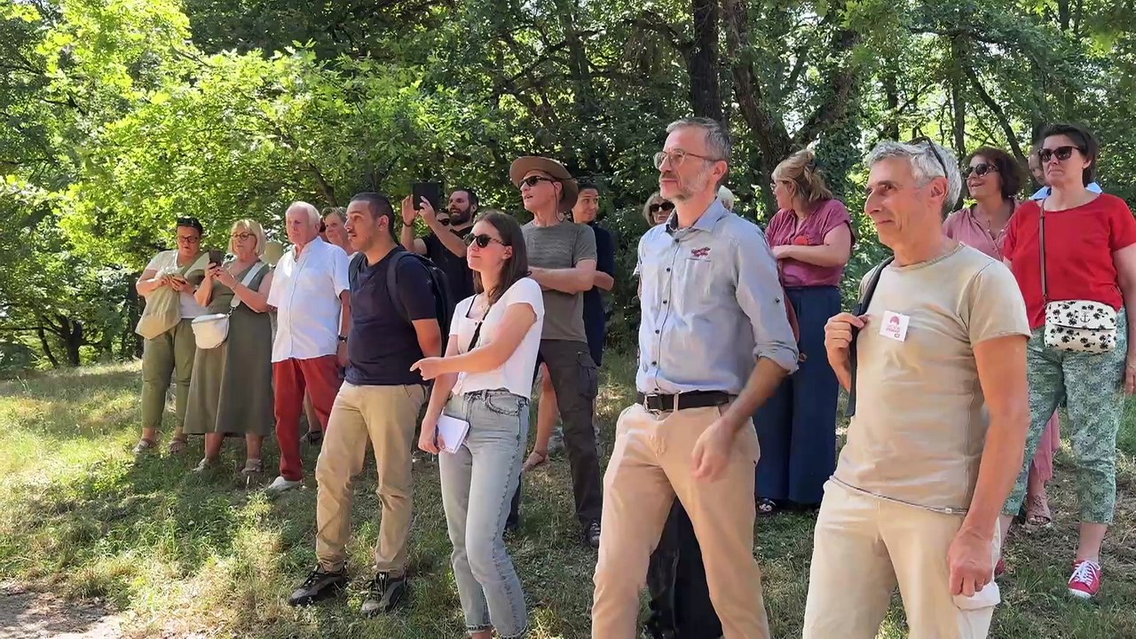 Une balade sonore pour découvrir les oiseaux de Saint-Étienne