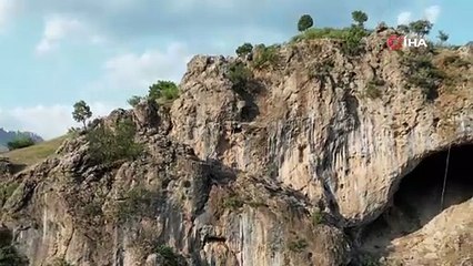 Yaban keçileri köye indi, sürünün içine daldı!