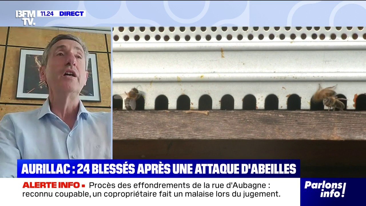 Attaque d'abeilles à Aurillac: le maire de la ville Pierre Mathonier (PS) indique que les trois blessés graves "sont dans un état stationnaire"