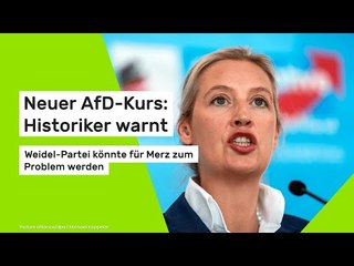 Neuer AfD-Kurs: Historiker warnt - Weidel-Partei könnte für Merz zum Problem werden