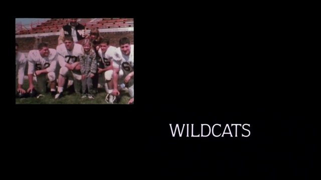 Wildcats (1986)
