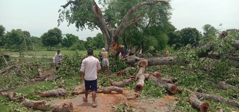 VIDEO: सकट कस्बे में तेज हवाओं के साथ बारिश, पेड़ गिरने से कई घरों में नुक्सान
