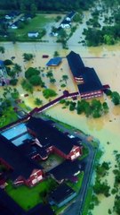 How Texas Flood Affecting Animals