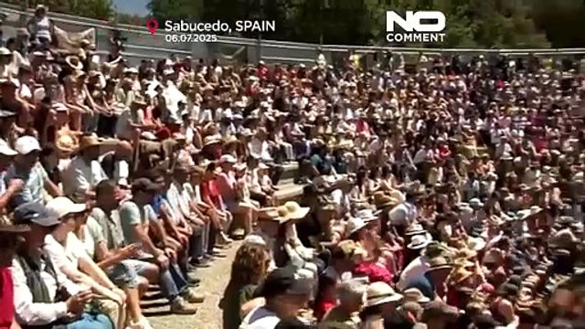 Les habitants luttent contre des chevaux sauvages lors du festival Rapa das Bestas en Espagne