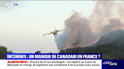 Les Canadair, ces célèbres bombardiers d'eau, sont-ils suffisants pour éteindre toutes les missions d'extinction des feux de forêt ?