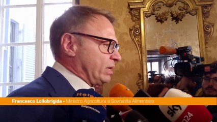 Lollobrigida "La riforma della cittadinanza non è una priorità"