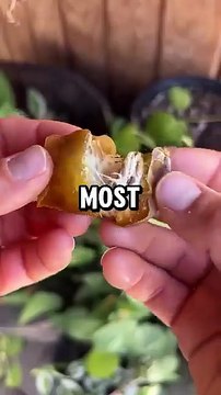 Fun facts about foods #health #nutrition #food #healthyfood