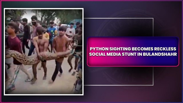 UP: Children Carry Python In Bare Hands For Reels & Selfies In Bulandshahr, Video Goes Viral