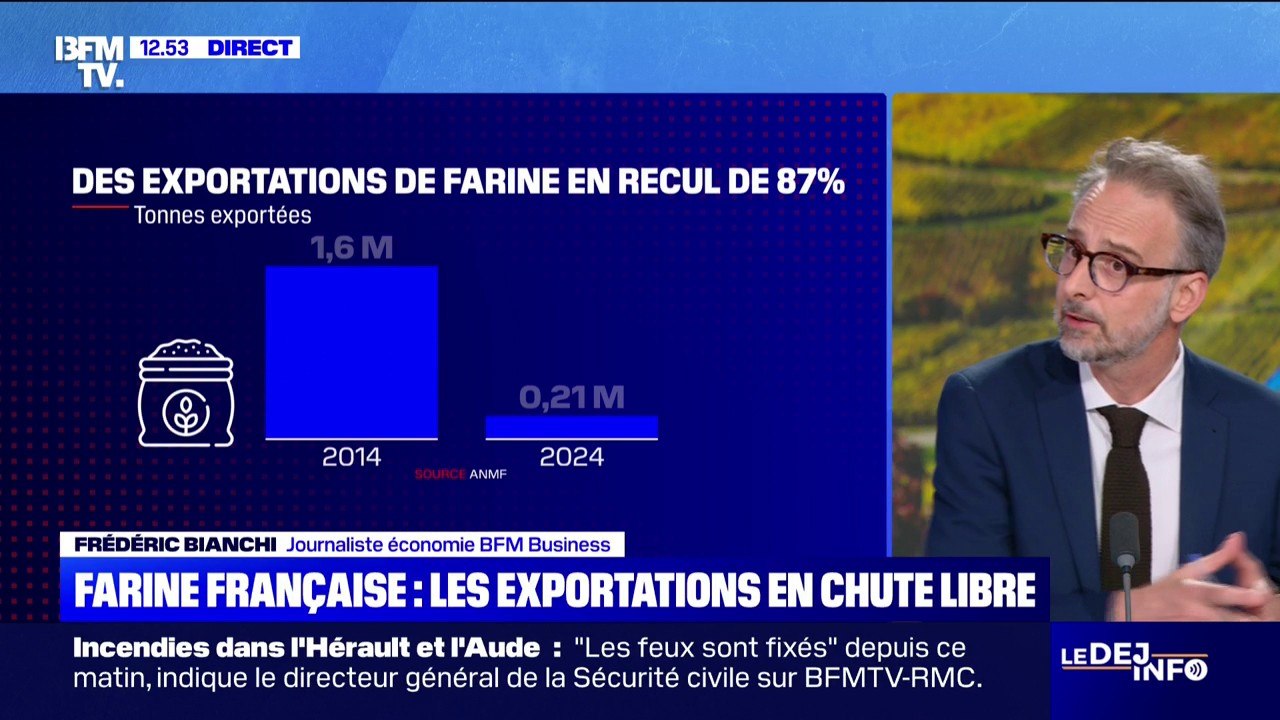 Les exportations de farine française sont en chute libre, 400.000 tonnes ont été importées en 2024