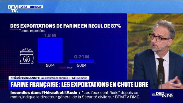 Les exportations de farine française sont en chute libre, 400.000 tonnes ont été importées en 2024