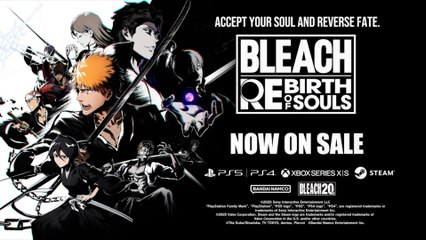 Bleach Rebirth of Souls Official Ichigo Kurosaki