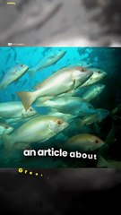 Do We Care About Worms? || Acharya Prashant