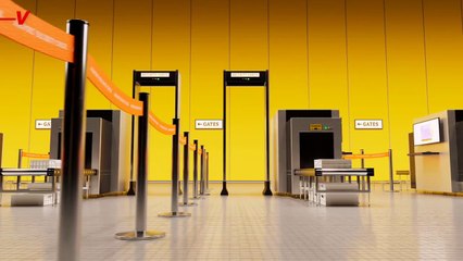 Do Not Put Your Pets Through The X-Ray Machine at the Airport, According to the TSA