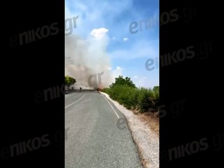 Νέο βίντεο από την φωτιά στην Κοζάνη