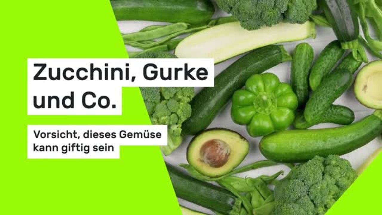 Zucchini, Gurke und Co.: Vorsicht, dieses Gemüse kann giftig sein