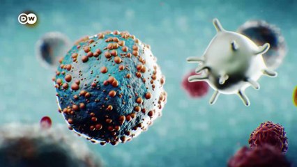 الفيروسات - تهدد خلايا الجسم