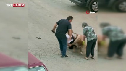 Ağızlıksız dolaştırılan pitbull, hem köpeğe hem de kendi sahibine saldırdı