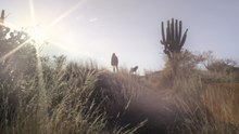 Sujo: Trailer HD VO st FR/NL