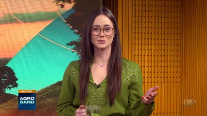 Giro Brasil: manguezais, queda no preço do frango e da laranja