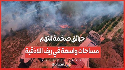 حرائق ضخمة تلتهم مساحات واسعة في ريف اللاذقية...التفاصيل
