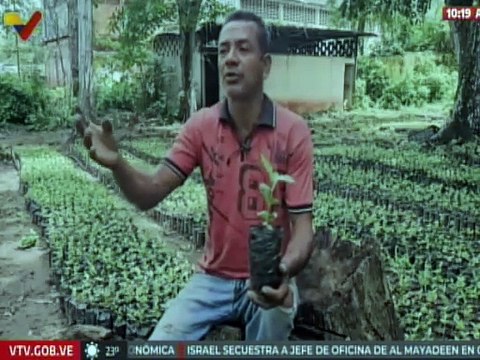 Anzoátegui I En el mcpio. Simón Bolívar avanzan con la producción y exportación del café
