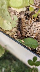 dm test : do not take any modération decision pls