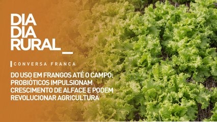 Do uso em frangos até o campo: raio-x ajuda a barrar remessas irregulares no país