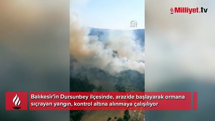 Balıkesir'de çıkan orman yangınına müdahale ediliyor