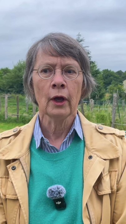 Intervention de Cécile Arnould, chercheuse à l’INRAE, sur les émotions des poules ! 🐔Reportage à retrouver sur notre chaîne YouTube : CotCot Club