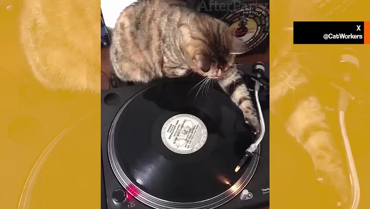 Hulvaton video: DJ-kissa opettaa, miten soitetaan vinyylilevyjä