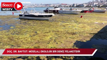 Doç. Dr. Baytut: Müsilaj, ekolojik bir deniz felaketidir