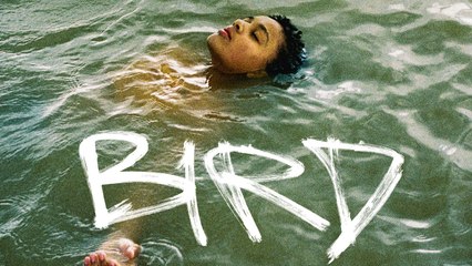 BIRD. Emprender El Vuelo | Tráiler oficial subtitulado