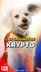 Qui est KRYPTO du film SUPERMAN ?