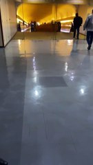 Escorpião é flagrado no subsolo da Câmara dos Deputados