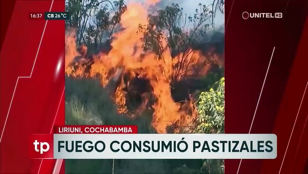 Frío extremo: prevén que temperaturas lleguen a -24 en algunas zonas de Potosí