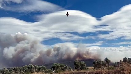 Un nouveau feu de forêt « incontrôlable » est en cours dans l’Aude après une reprise de l’incendie. De nombreux pompiers sont sur place, et une partie de Narbonne est appelée au confinement.