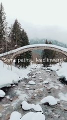 “Whispers in the Air | A Tranquil Moment”