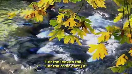 “Peace in Motion | Autumn Leaves & Flowing Water”