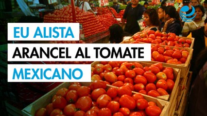 EU alista arancel al tomate mexicano; GCMA llama al diálogo bilateral para renovar acuerdo