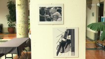 30 fotografías invitan a no olvidar tragedia y represión de la historia reciente de Guadalajara