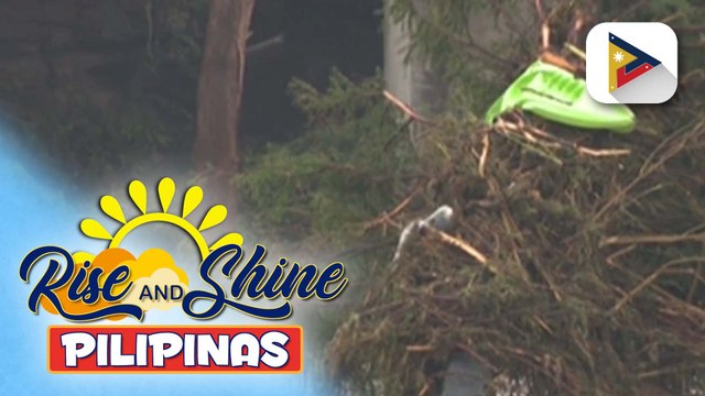 Kaligtasan ng mga Filipino sa Texas, tiniyak ng PH Consulate General sa Houston