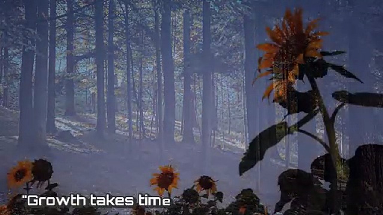 "When Time Moves Fast, Find Stillness | Timelapse Visuals"