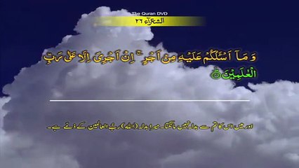 "Surah Ash-Shu'ara Ayat 141–159 | Learn Quran Word by Word in 4K | Urdu Translation"
